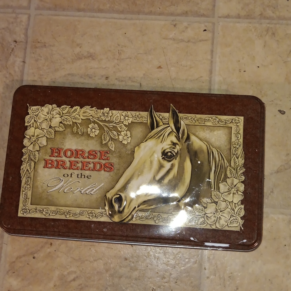 Horse playing cards